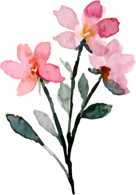 花2@160x
